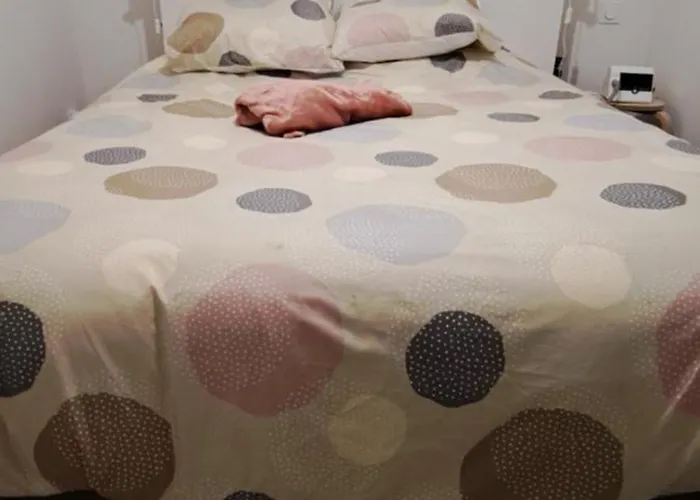 La Béroline, Maison Avec Jacuzzi Près De Honfleur *